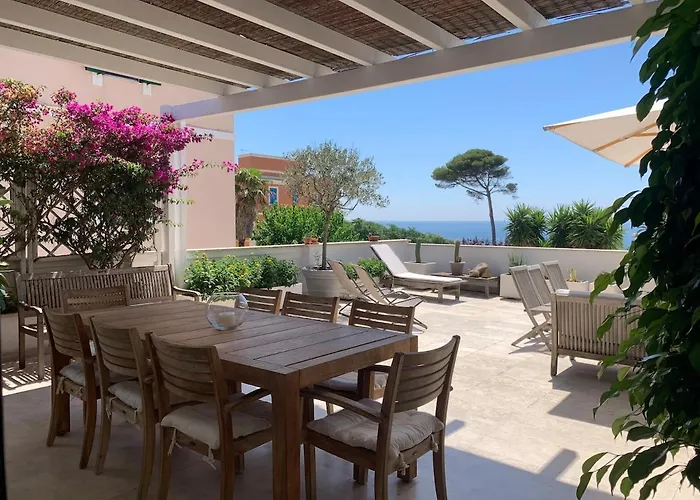 Comfortable And Amusing House